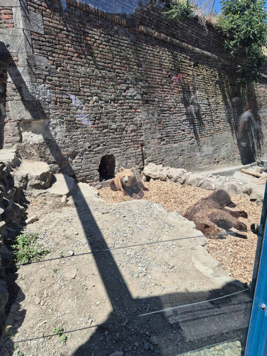 medvedice zoo vrt 13.jpg