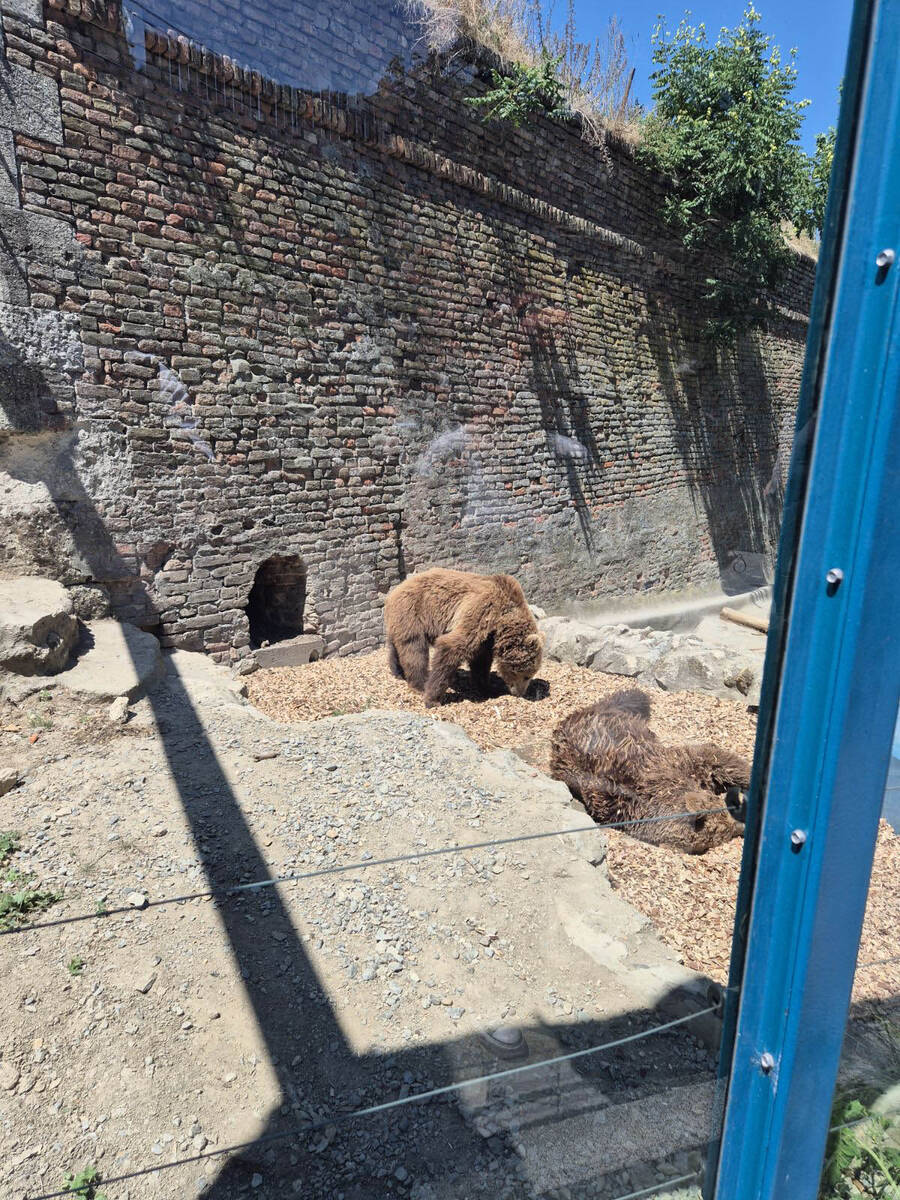 medvedice zoo vrt 14.jpg