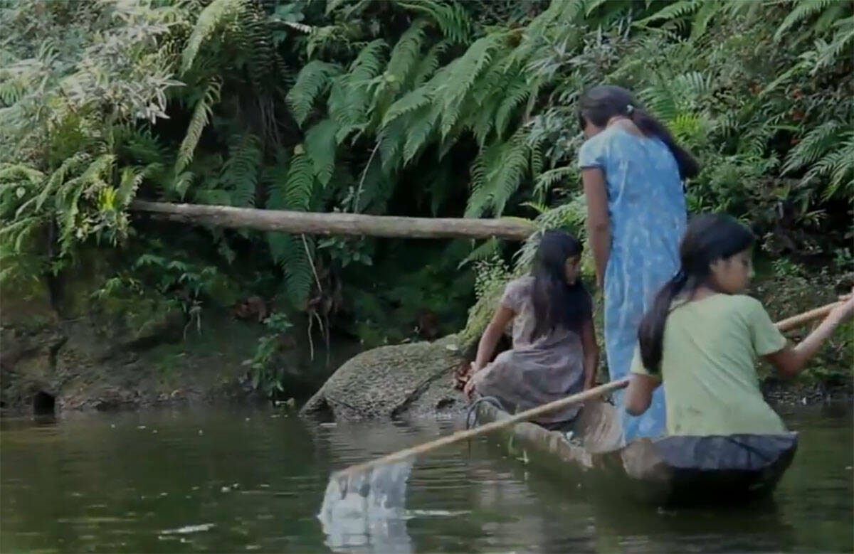 Tsimane