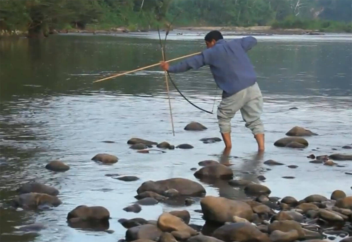 Tsimane