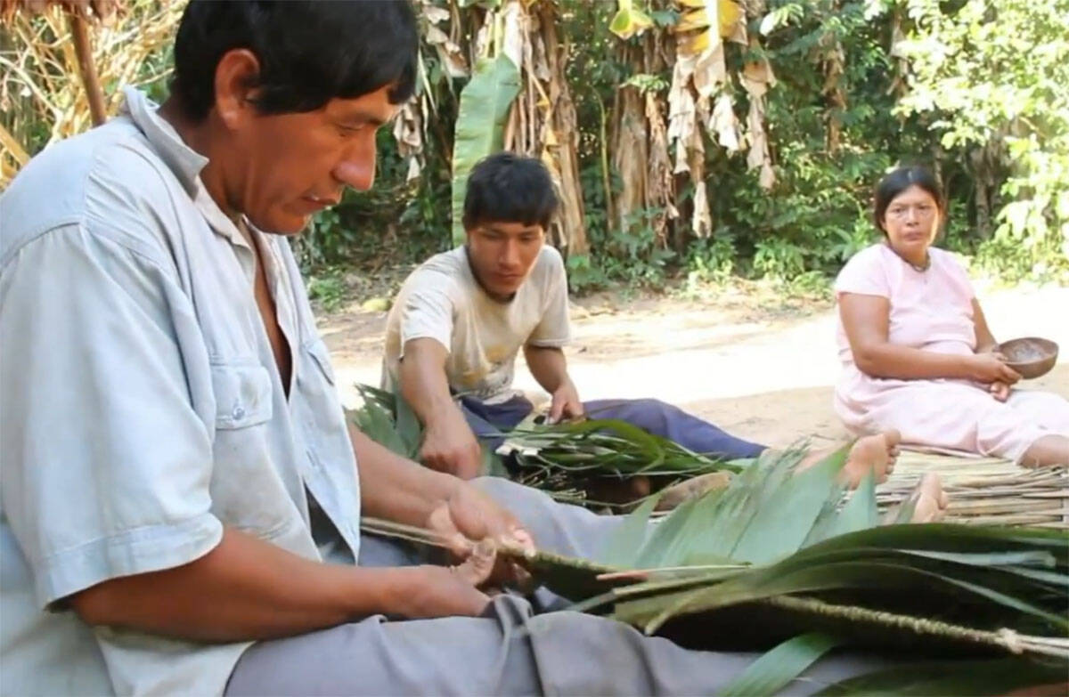 Tsimane