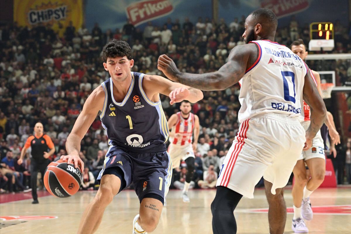 gabrijel proćida  (2).jpg