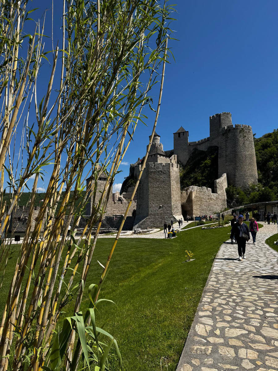 Golubačka tvrđava