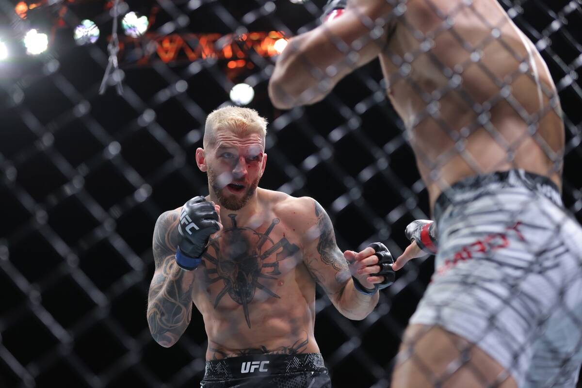 Den Huker na MMA meču