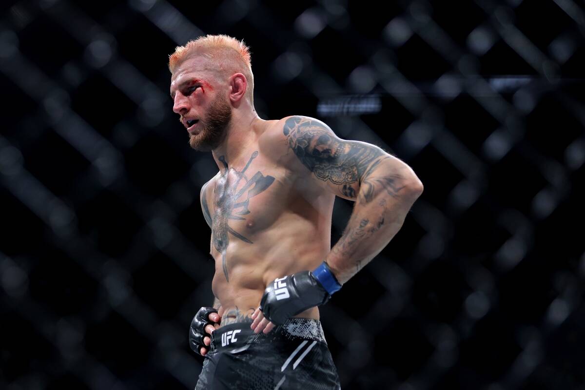 Den Huker na MMA meču