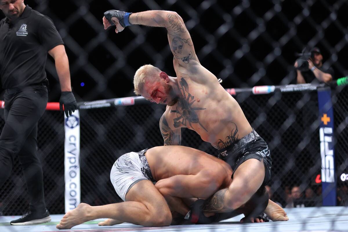 Den Huker na MMA meču
