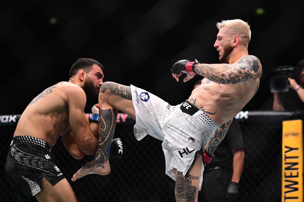 Den Huker na MMA meču