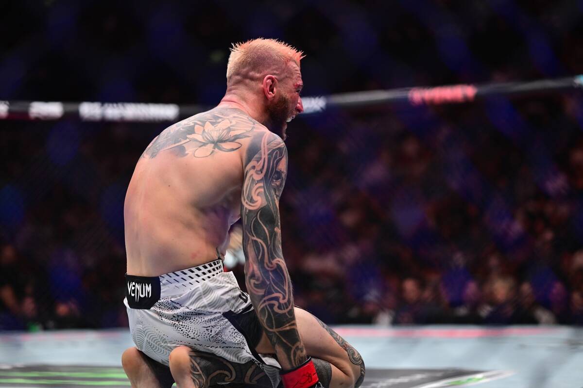 Den Huker na MMA meču