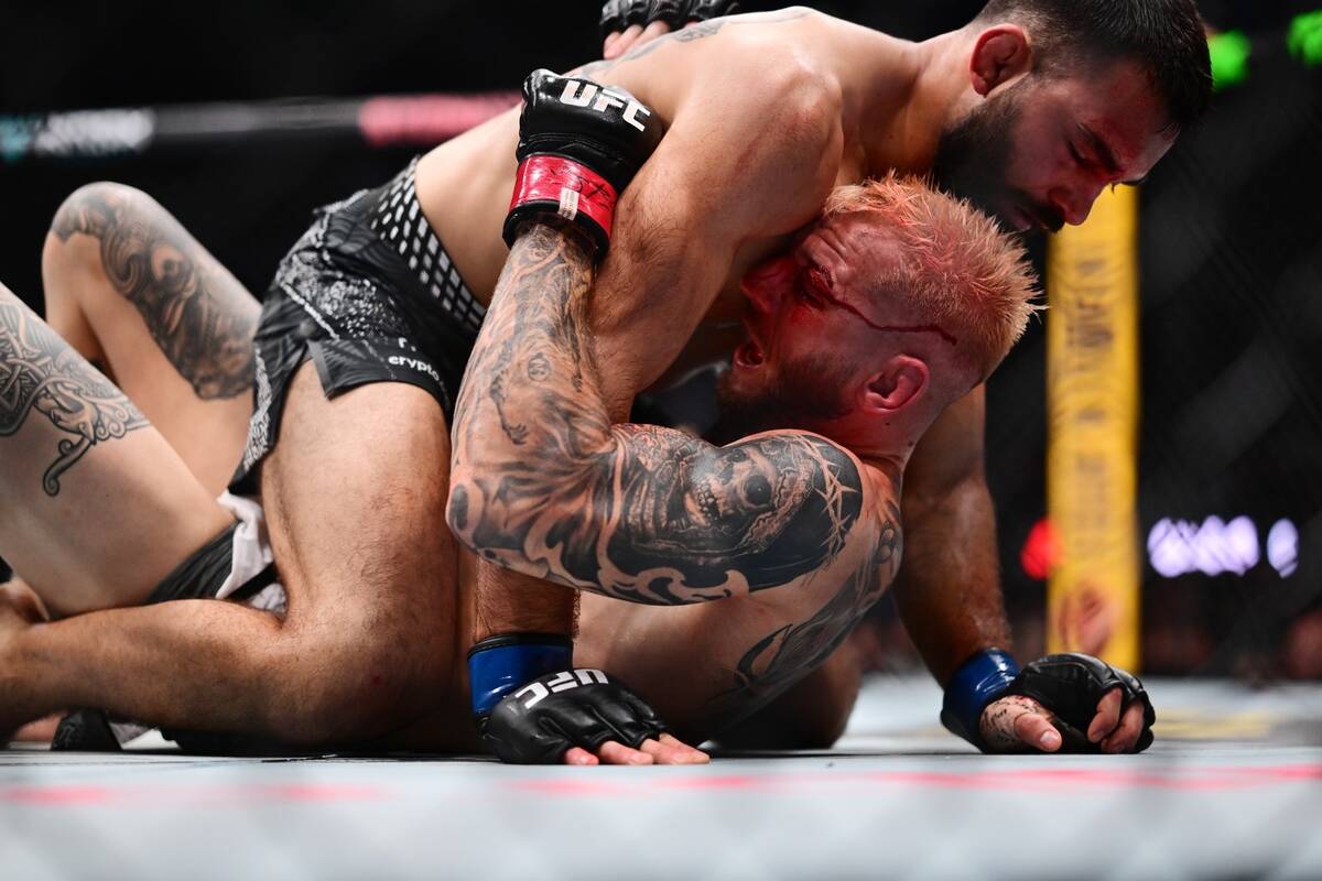 Den Huker na MMA meču