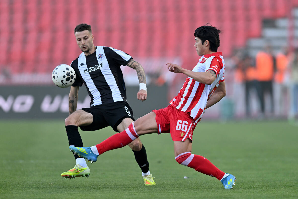 Mateja Milovanović