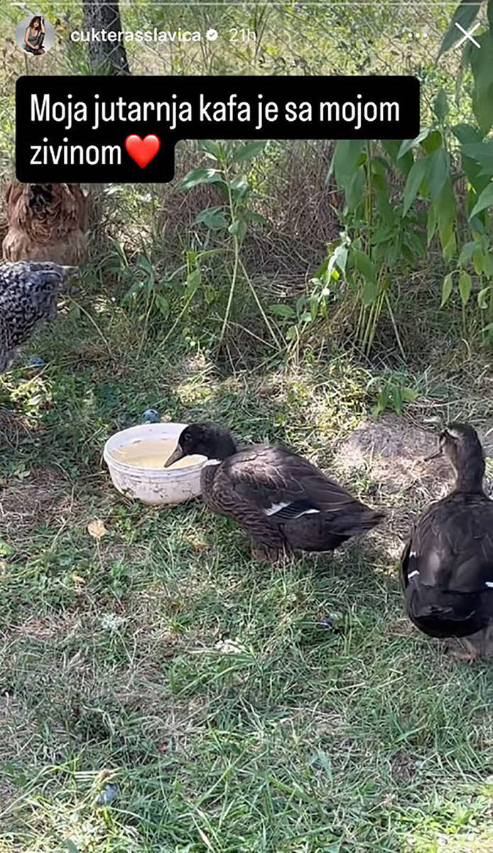 Slavica Ćukteraš (2).jpg