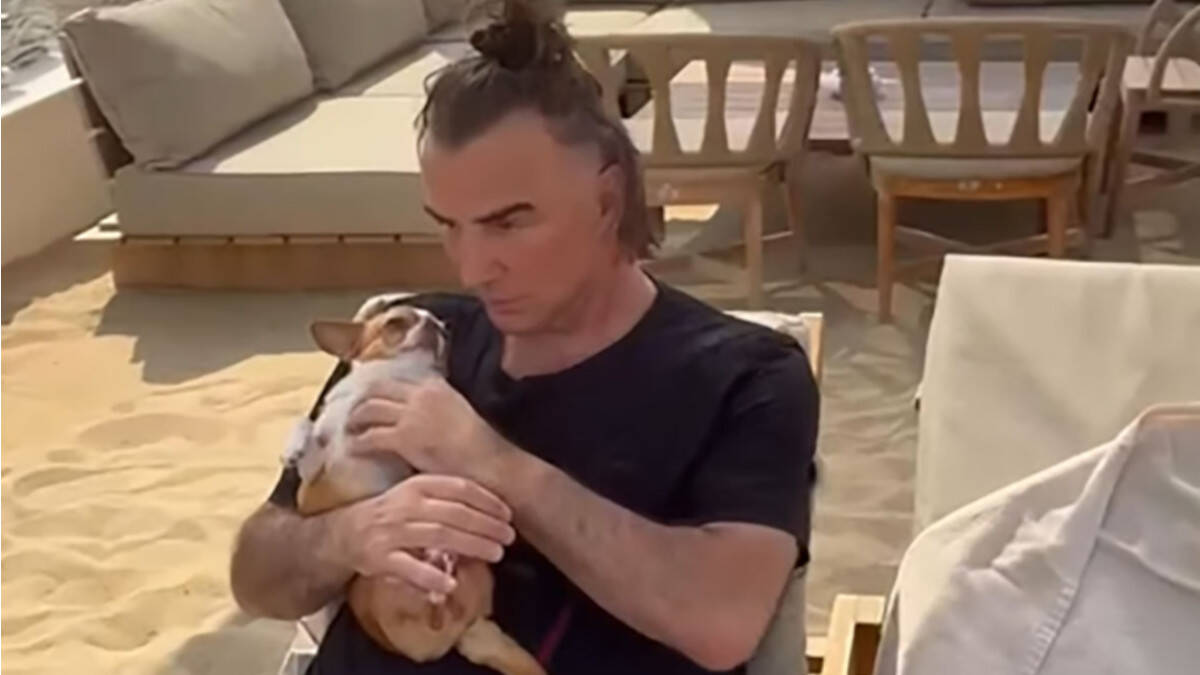 Željko Mitroivić pas čivava naslovna.jpg