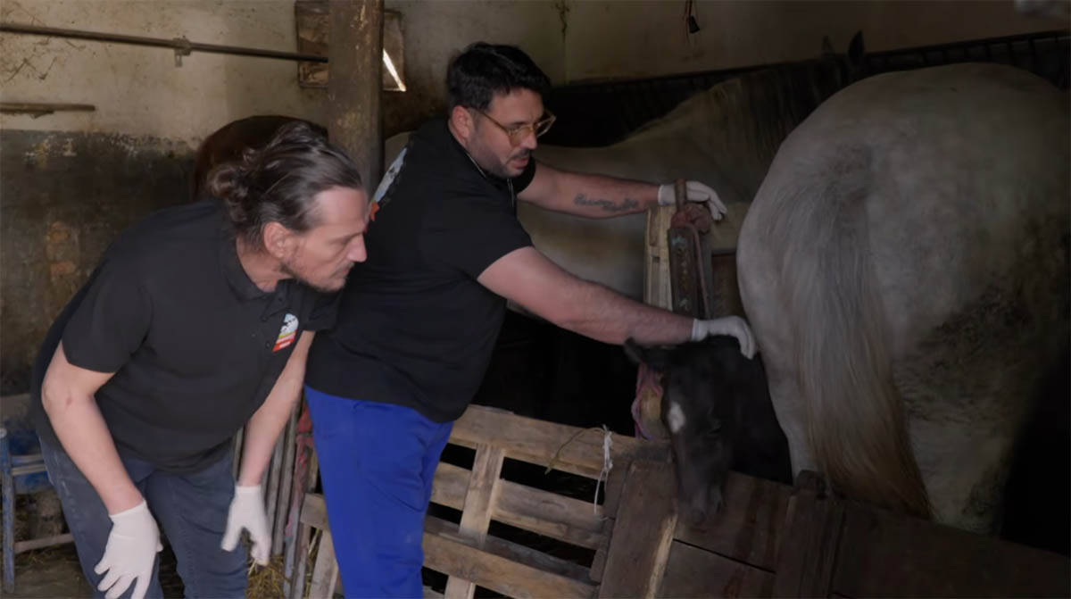 Nenad Heraković u ulozi veterinara (3).jpg