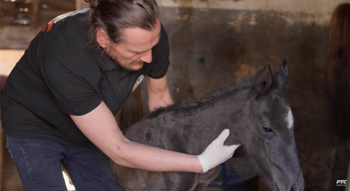 Nenad Heraković u ulozi veterinara (4).jpg