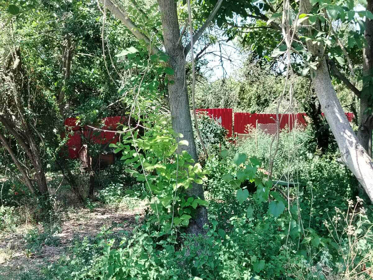 Azil za pse u Batajnici u kom je došlo do pucnjave (7).jpg
