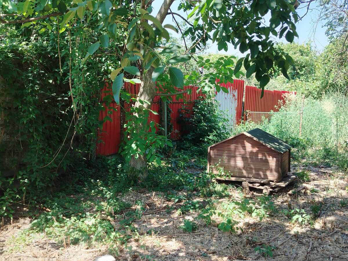 Azil za pse u Batajnici u kom je došlo do pucnjave (1).jpg