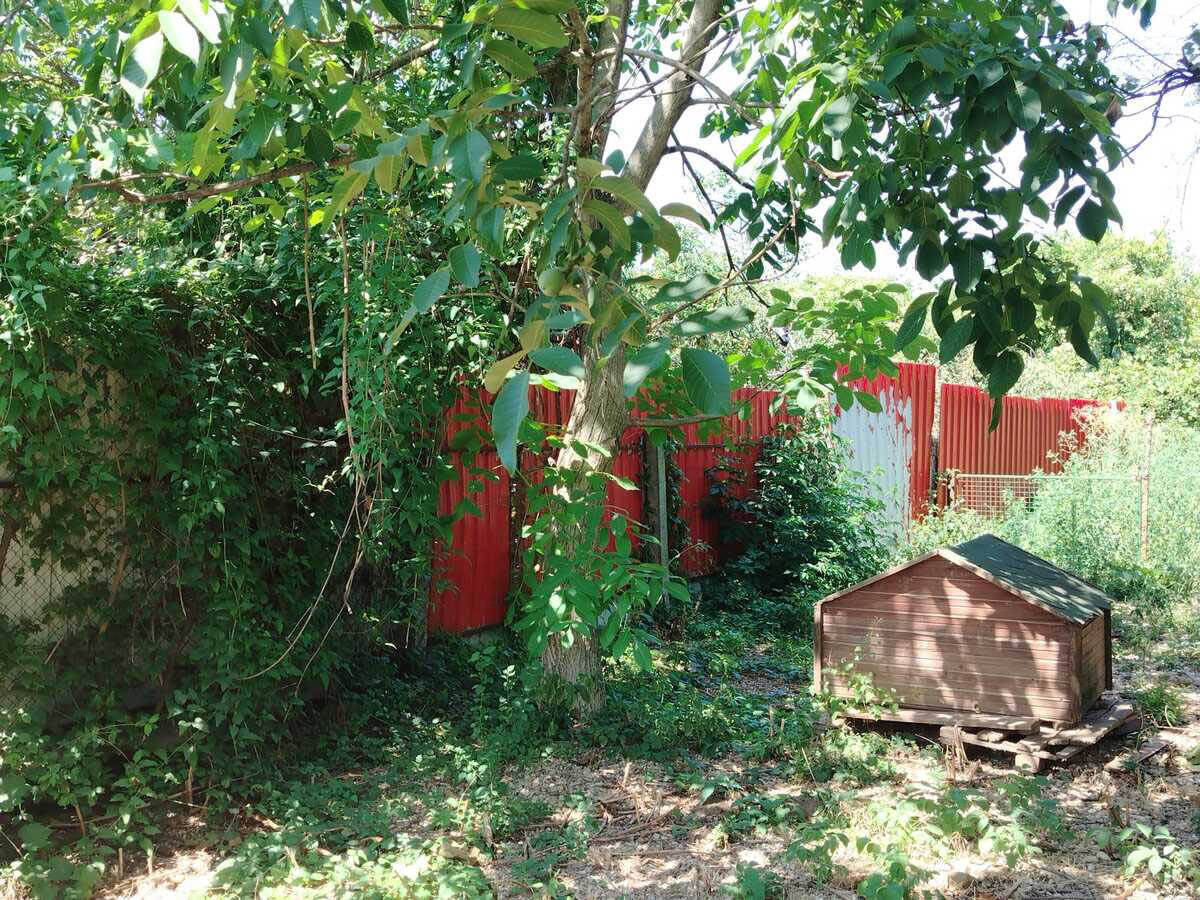 Azil za pse u Batajnici u kom je došlo do pucnjave (10).jpg