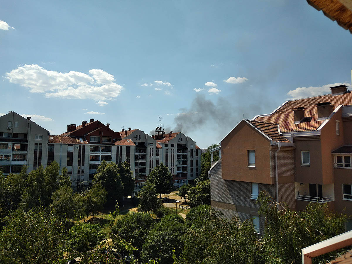 Požar na Bežanijskoj kosi (2).jpg