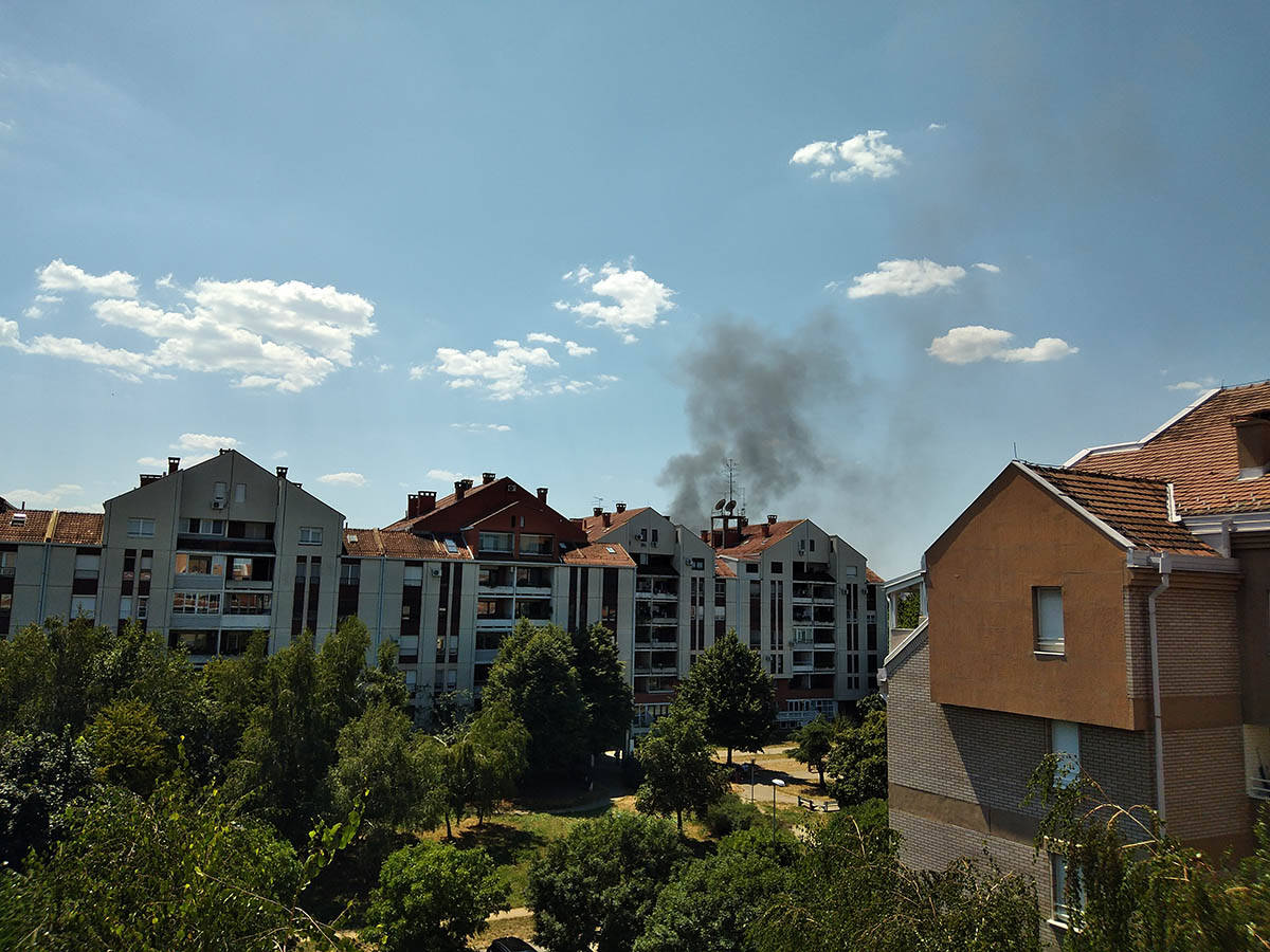 Požar na Bežanijskoj kosi (3).jpg