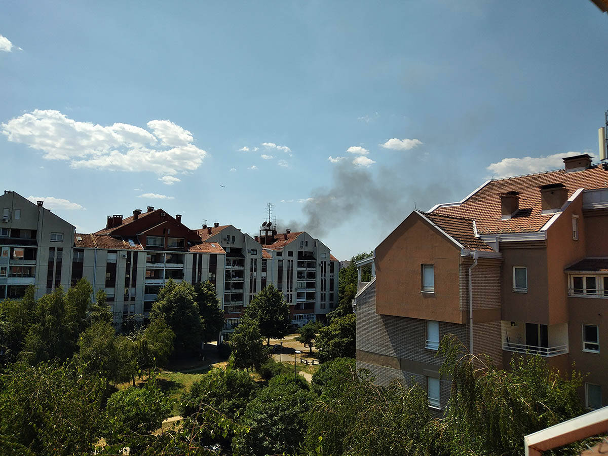 Požar na Bežanijskoj kosi (4).jpg