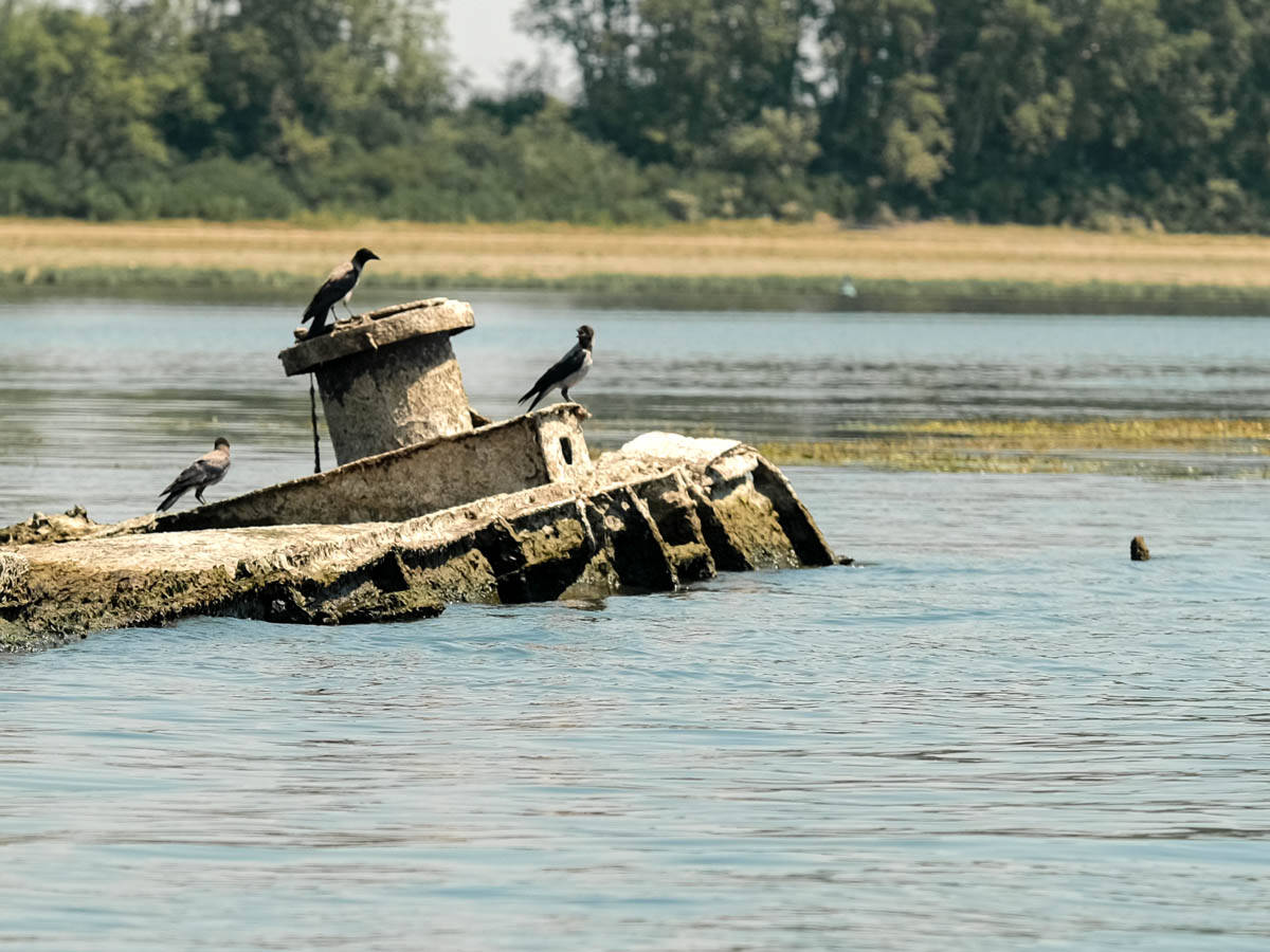 prahovo_brodovi_dunav_nizak_vodostaj_stefan_stojanović_12.jpg