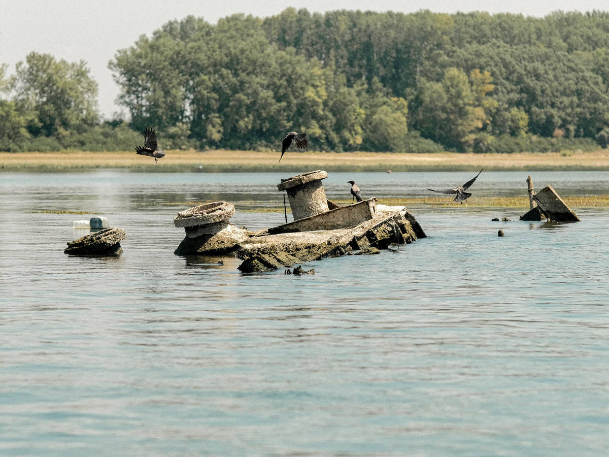 prahovo_brodovi_dunav_nizak_vodostaj_stefan_stojanović_15.jpg