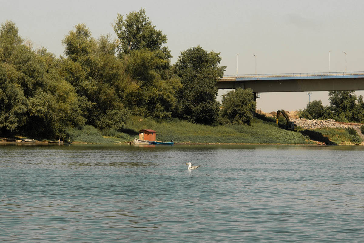 sremska_mitrovica_sava_stefan_stojanović_ (4).jpg