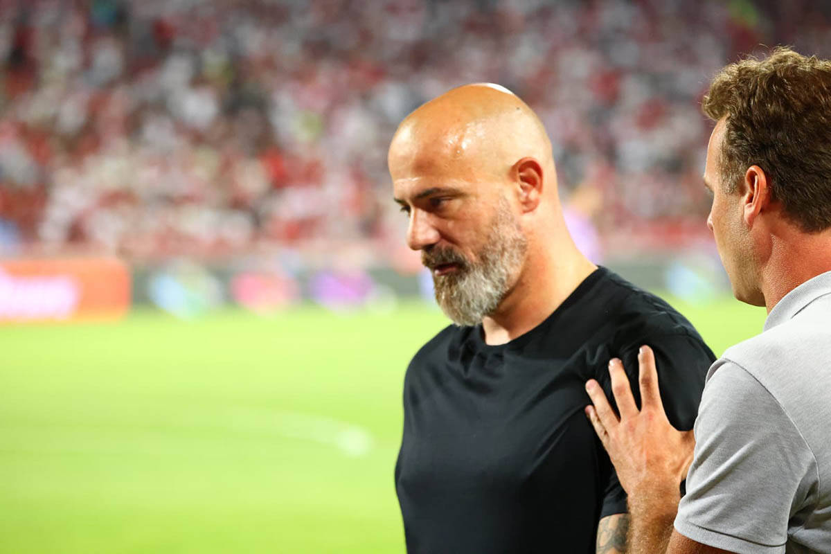 Dejan Stanković 2.jpg