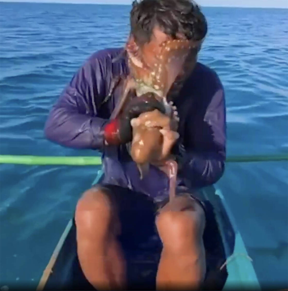 Hobotnica napala muškarca na Filipinima 5.jpg