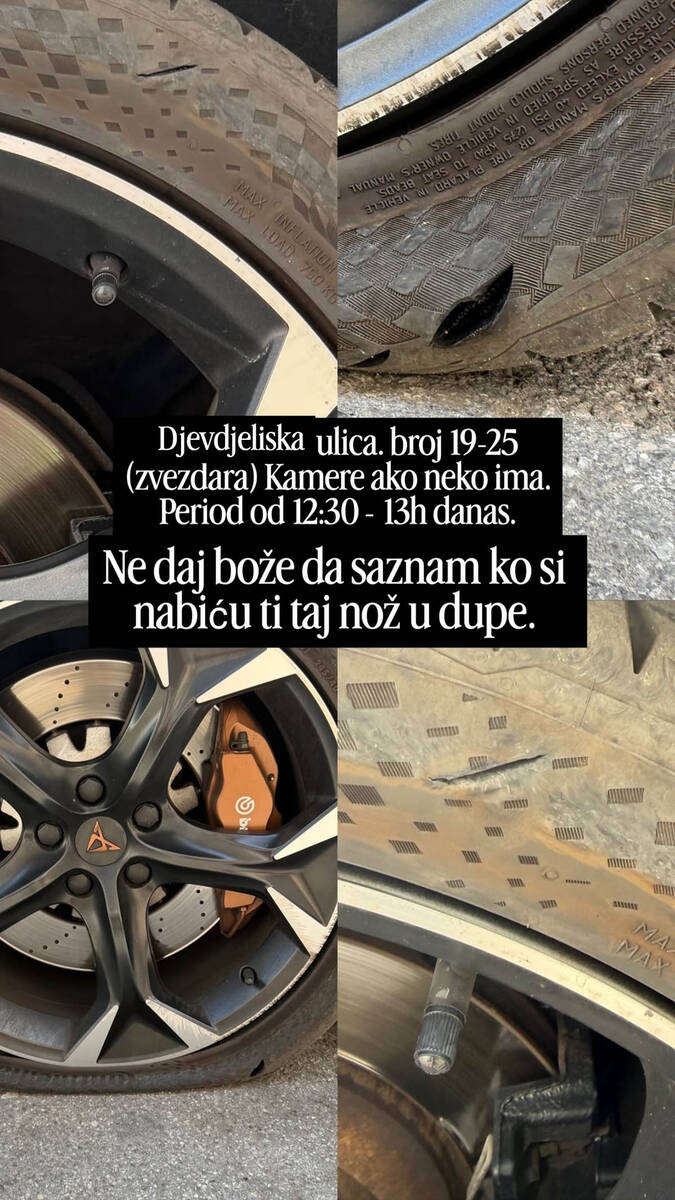 Ilke mma (3).jpg