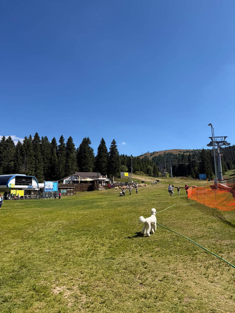 Kopaonik leto 2026 (2).jpg
