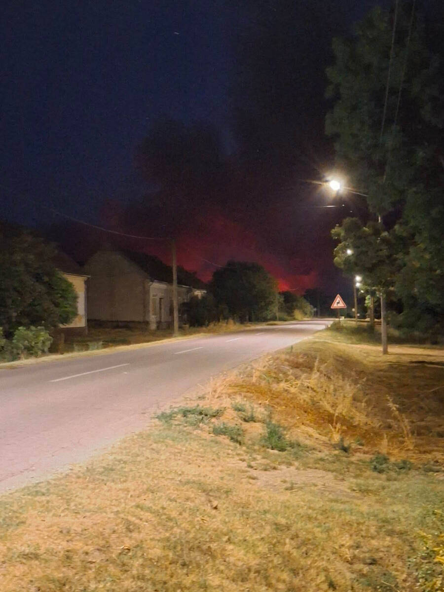 Požar u Deliblatskoj peščari 4.jpg