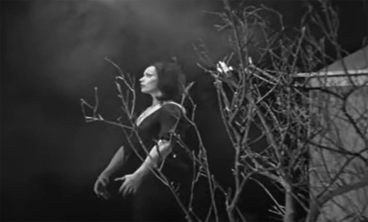 Plan 9 from Outer Space (1).jpg