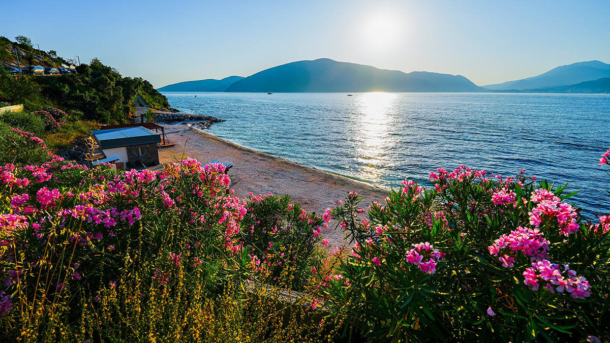 Rose, Crna Gora
