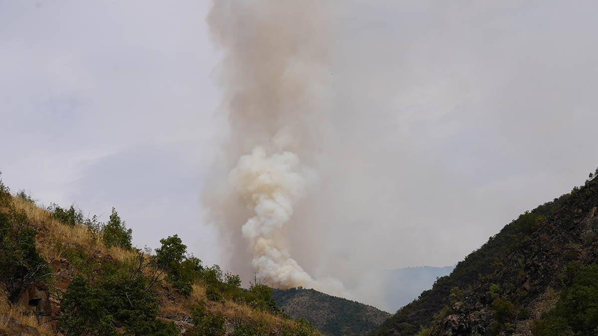 Požar na planini Stolovi (5).jpg