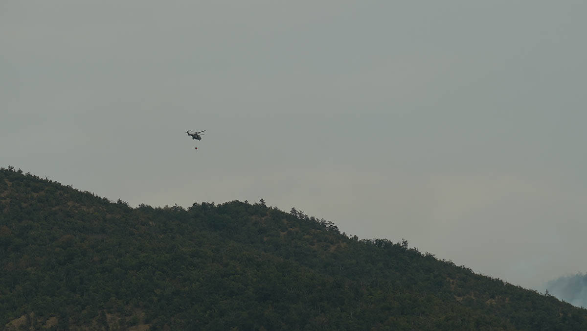 Požar na planini Stolovi (8).jpg
