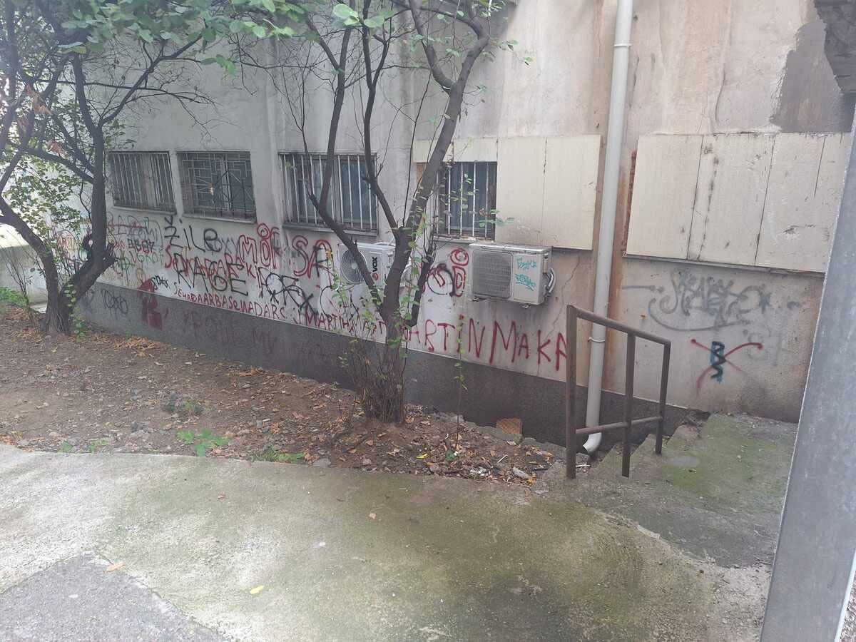 Silovana žena na Banovom brdu u Beogradu, silovanje, Požeška, Banovo brdo