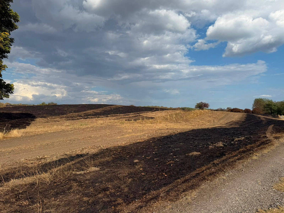 Posledice požara u Deliblatskoj peščari (3).jpg