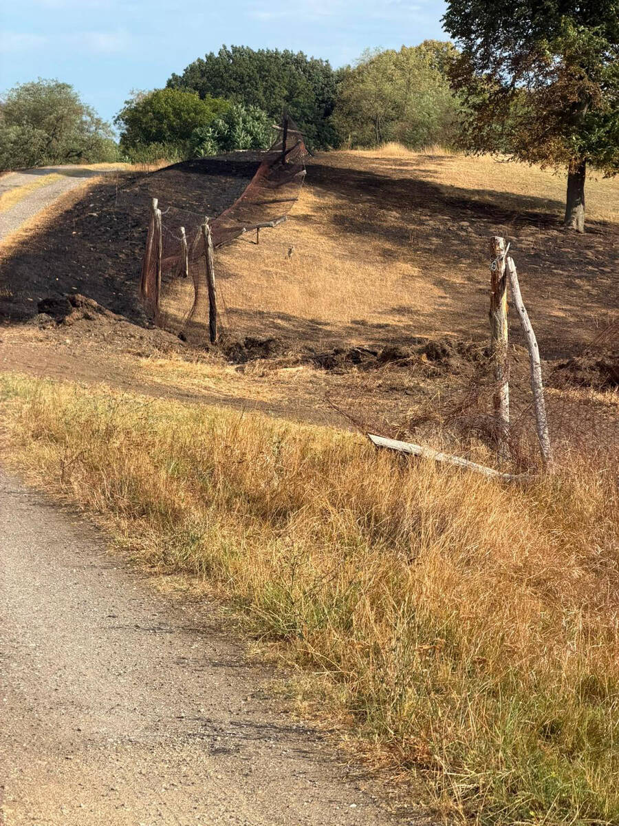 Posledice požara u Deliblatskoj peščari (12).jpg