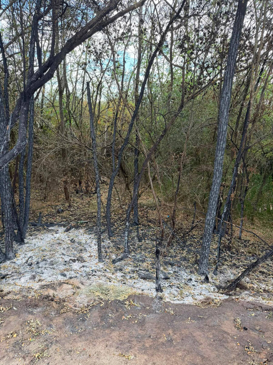 Posledice požara u Deliblatskoj peščari (30).jpg