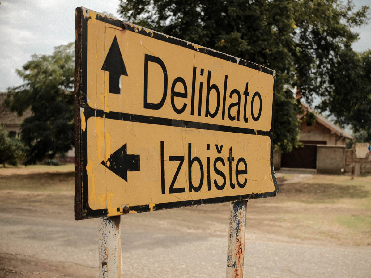 šušara_deliblatska_peščara_stefan_stojanović_1.jpg