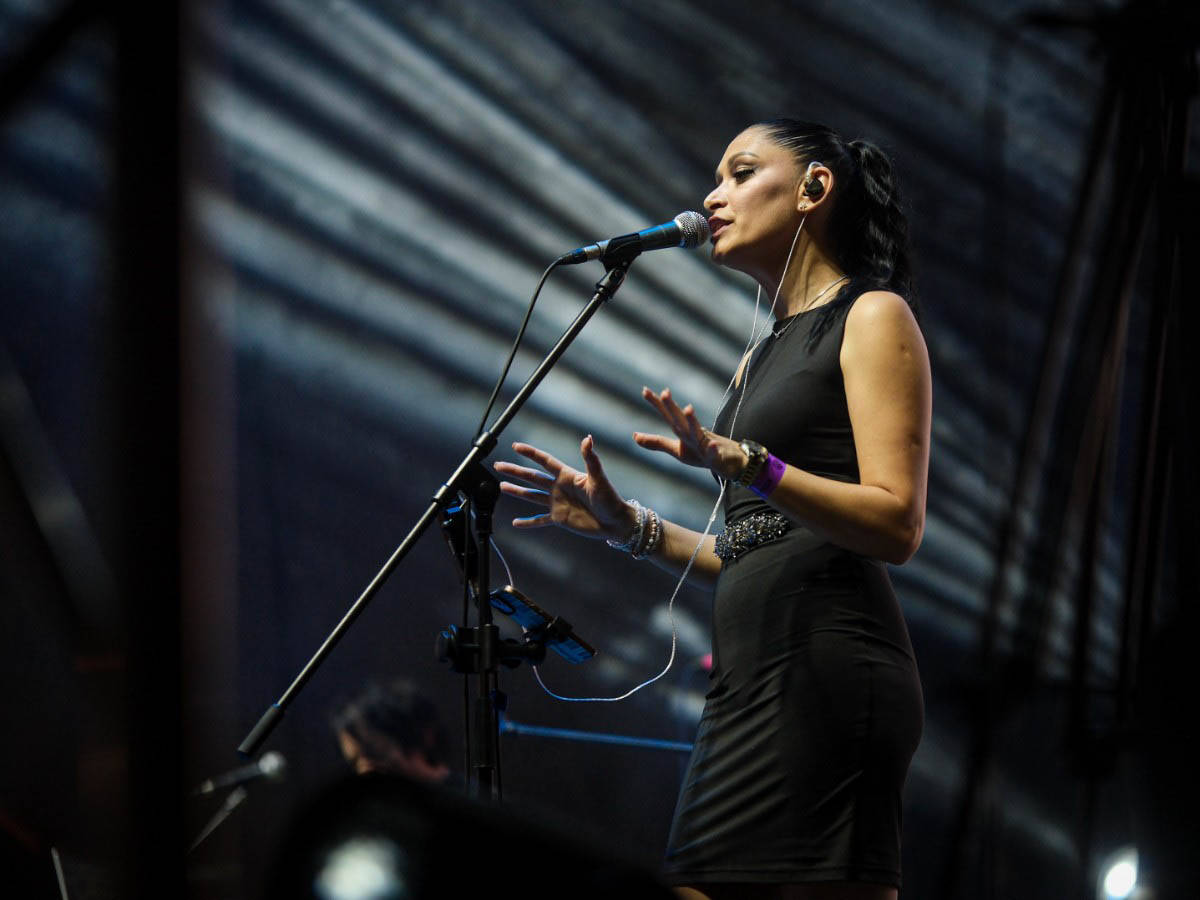 Boris Režak - Djava fest (10).jpg