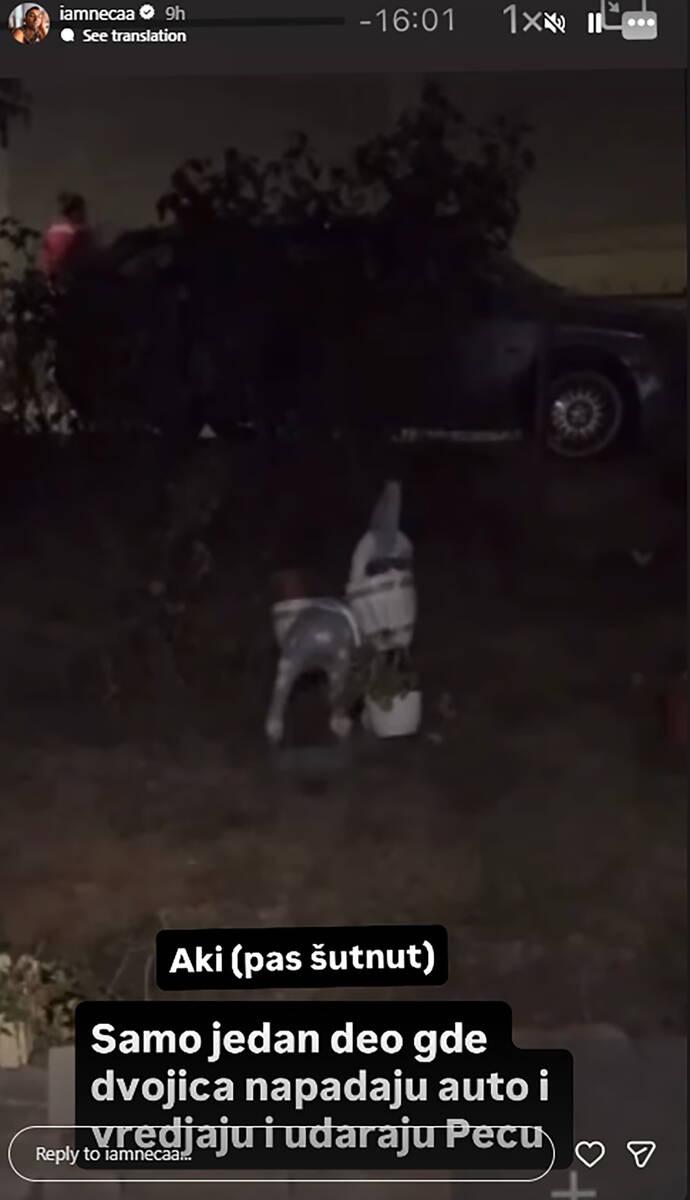 Nenad Lazić Neca objave o incidentu (2).png