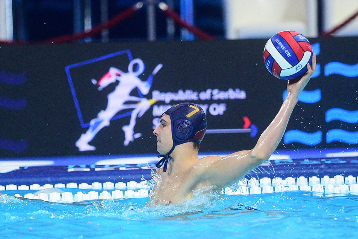 danilo stupar (7).jpg