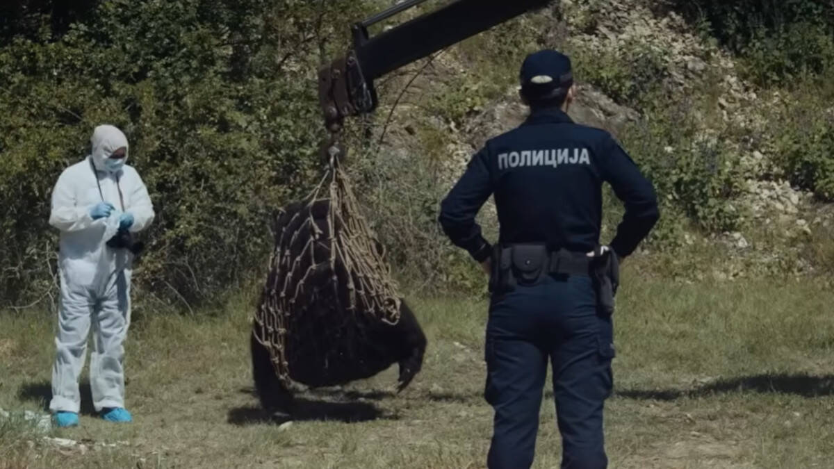 Čuvar ikone svetog Đorđa film medved.jpg