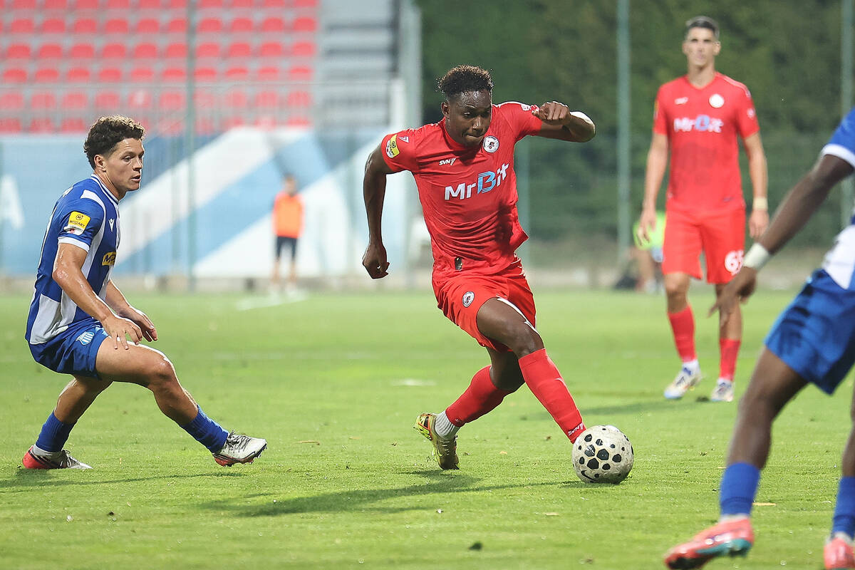 OFK Beograd IMT