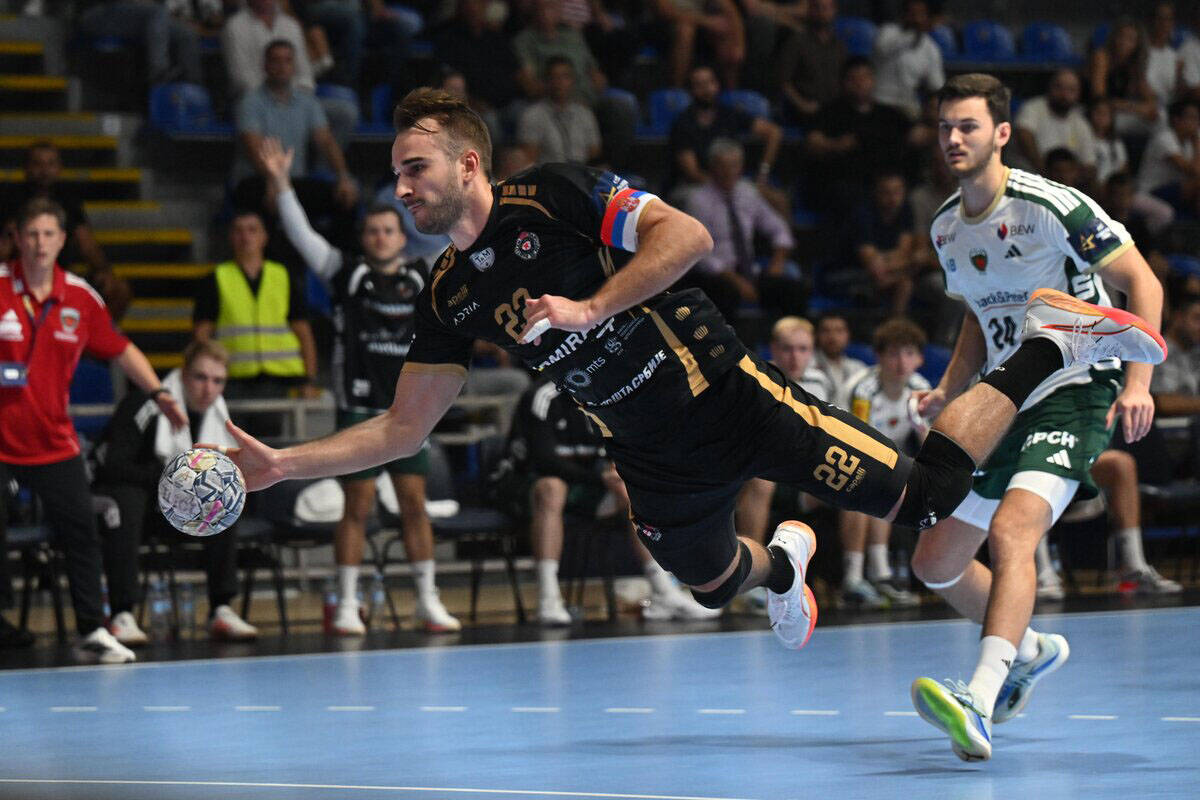 Partizan - Fihse Berlin (7).jpg
