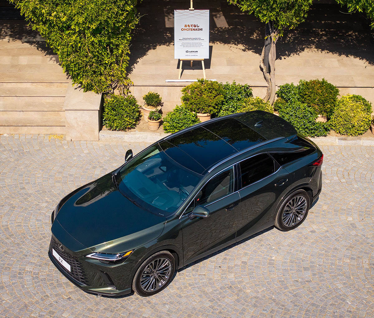 Lexus (2).jpg