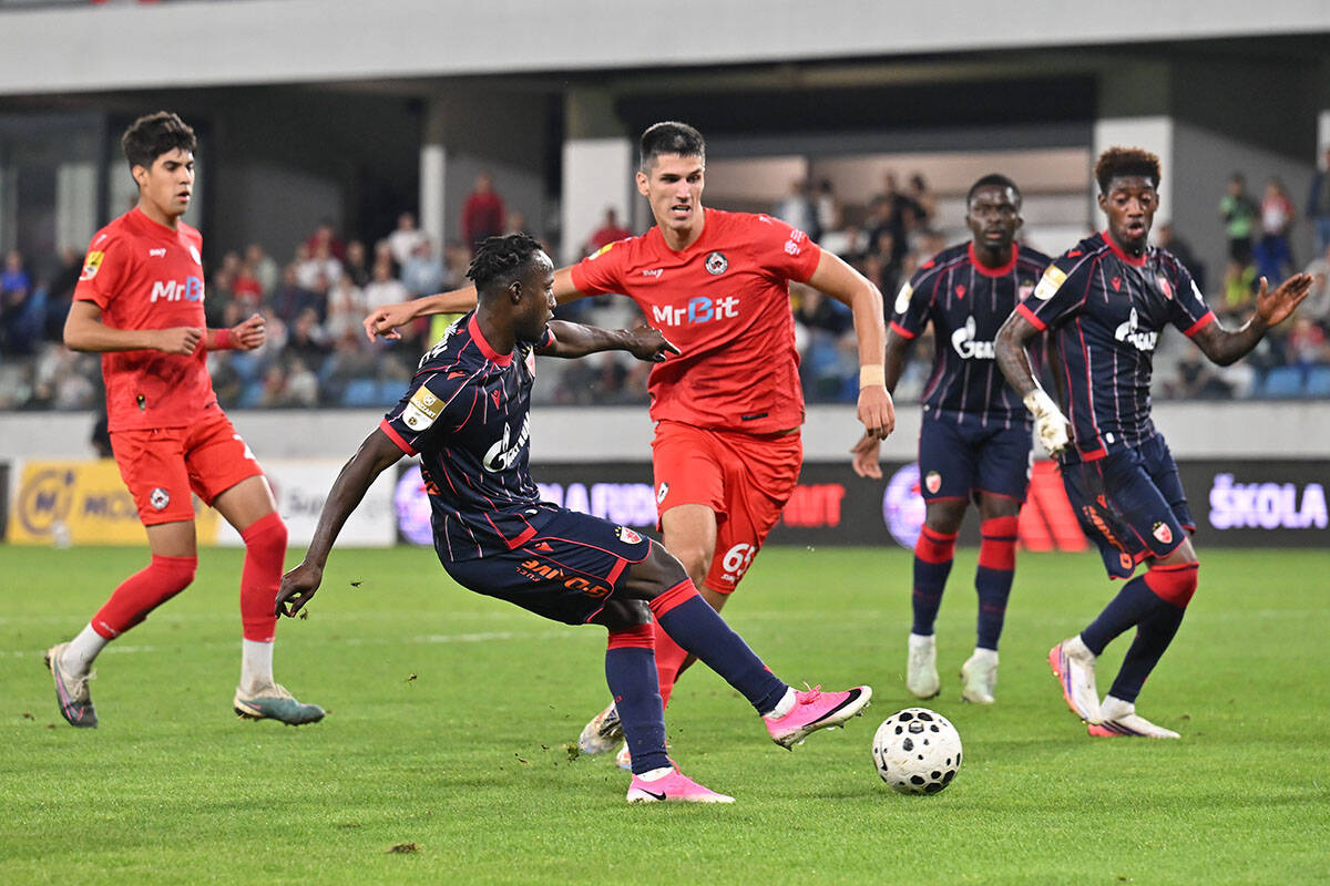 Crvena zvezda vs IMT