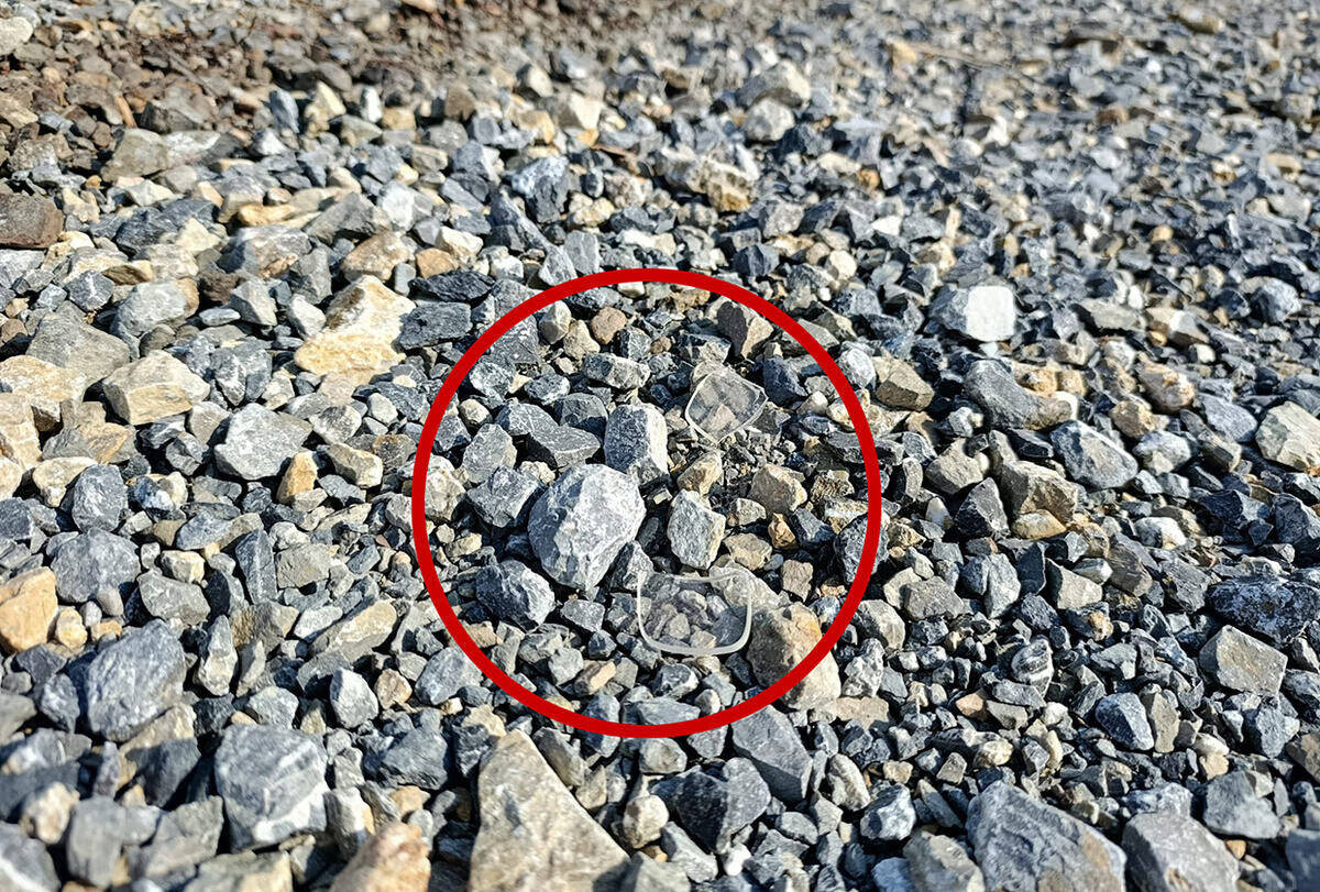 Mesto gde je usmrćen muškarac u Novoj Pazovi (4).jpg